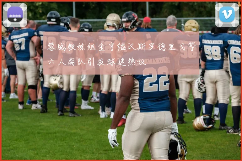 蓉城教练组金亨镒汉斯罗德里戈等六人离队引发球迷热议