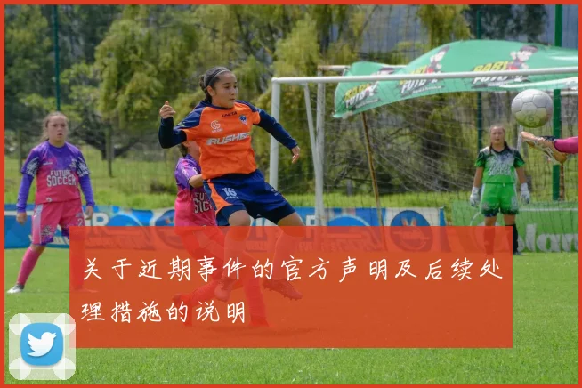 关于近期事件的官方声明及后续处理措施的说明