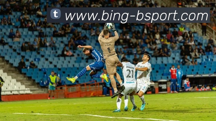 B体育APP 封面图